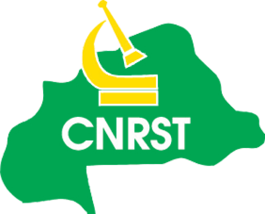 cnrst Logo